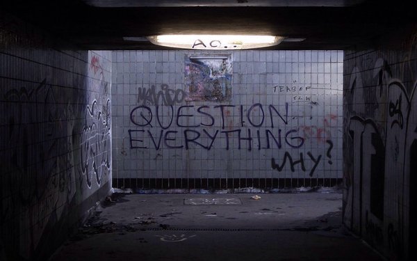 question everything